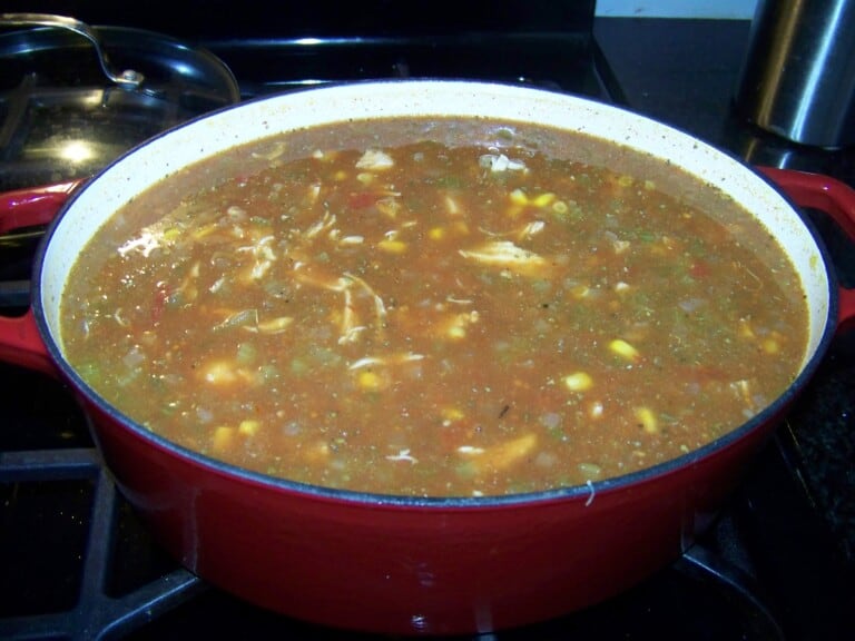 Super Super Bowl Chicken Vegetable Stew