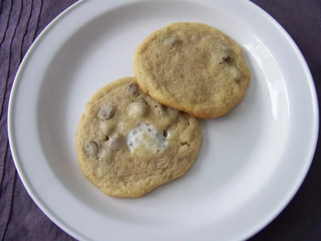 Chocolate Chip Marshmallow Cookies