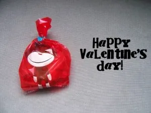 Valentines Bags