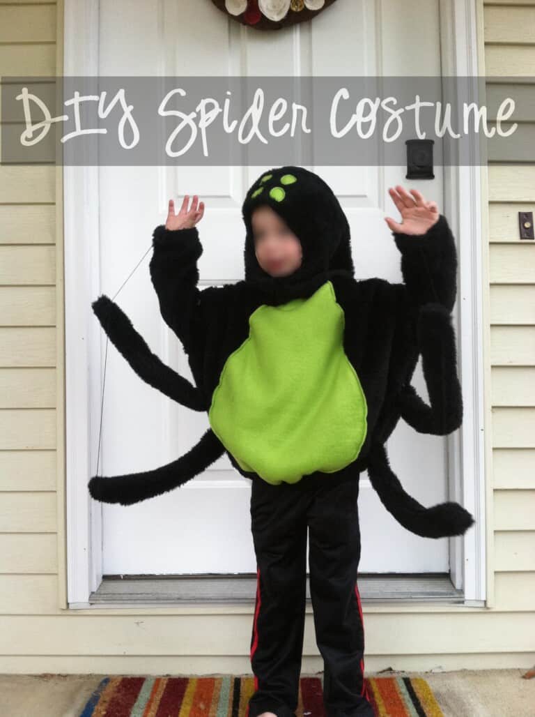 Along Came a Spider... {DIY Spider Costume}