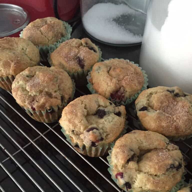Blueberry Citrus Muffin Recipe