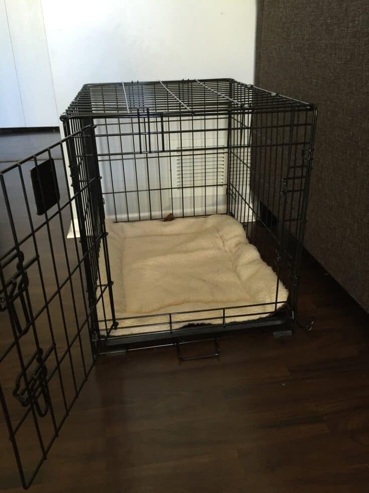 Dog Crate Cover Tutorial Mary Martha Mama