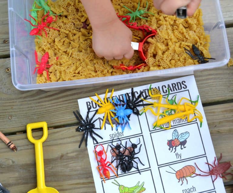 Bug Sensory Bin & Bug Hunt Printable