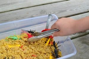 Bug Sensory Bin &amp; Bug Hunt Printable – Mary Martha Mama