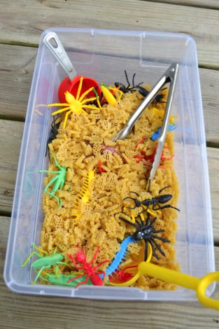 Bug Sensory Bin &amp; Bug Hunt Printable – Mary Martha Mama