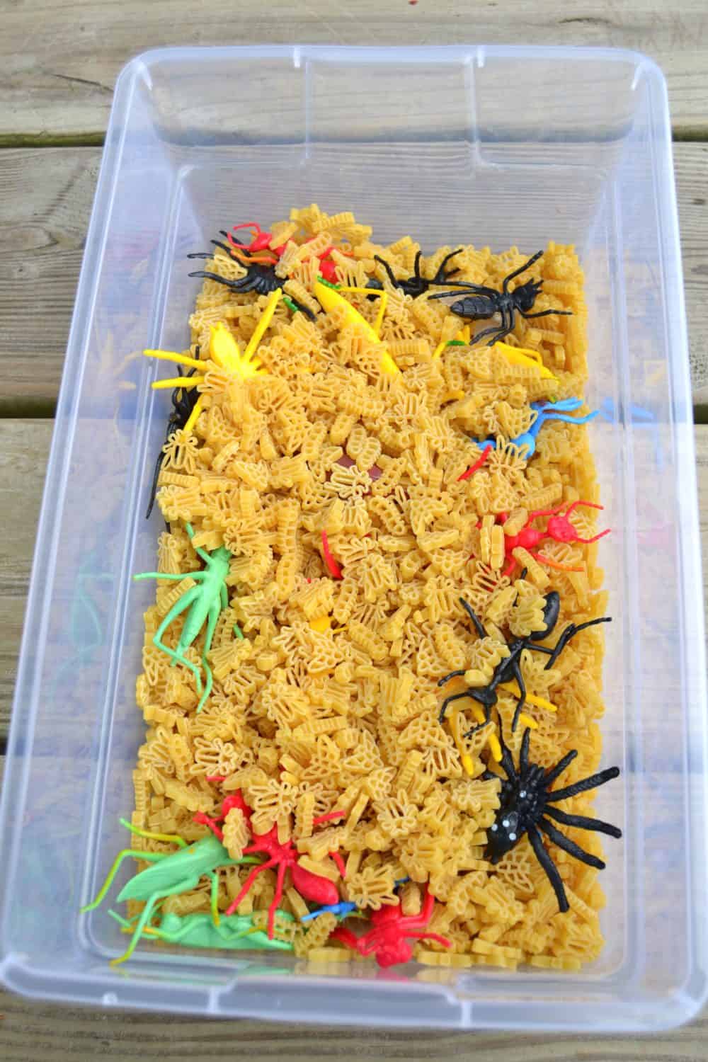 Bug Sensory Bin & Bug Hunt Printable Mary Martha Mama