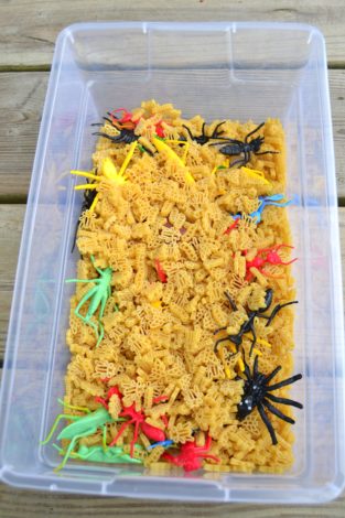 Bug Sensory Bin &amp; Bug Hunt Printable – Mary Martha Mama