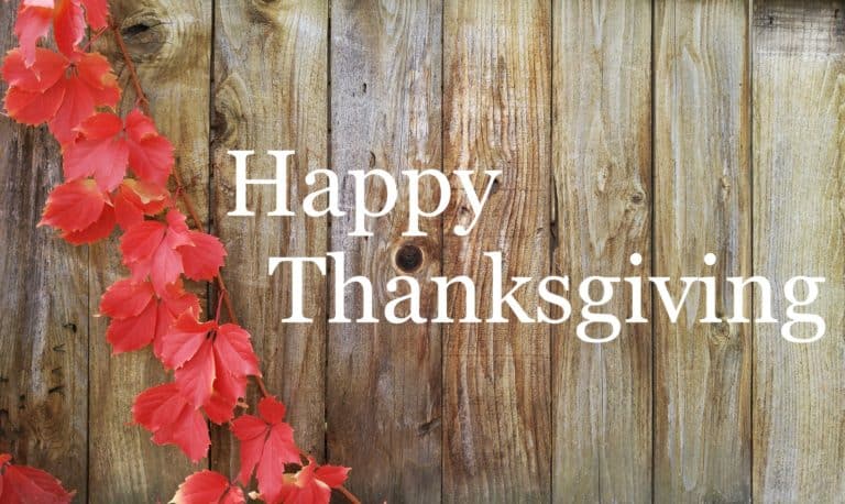 Happy Thanksgiving!