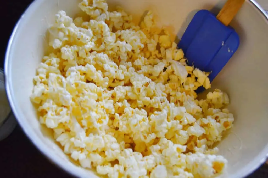 party popcorn