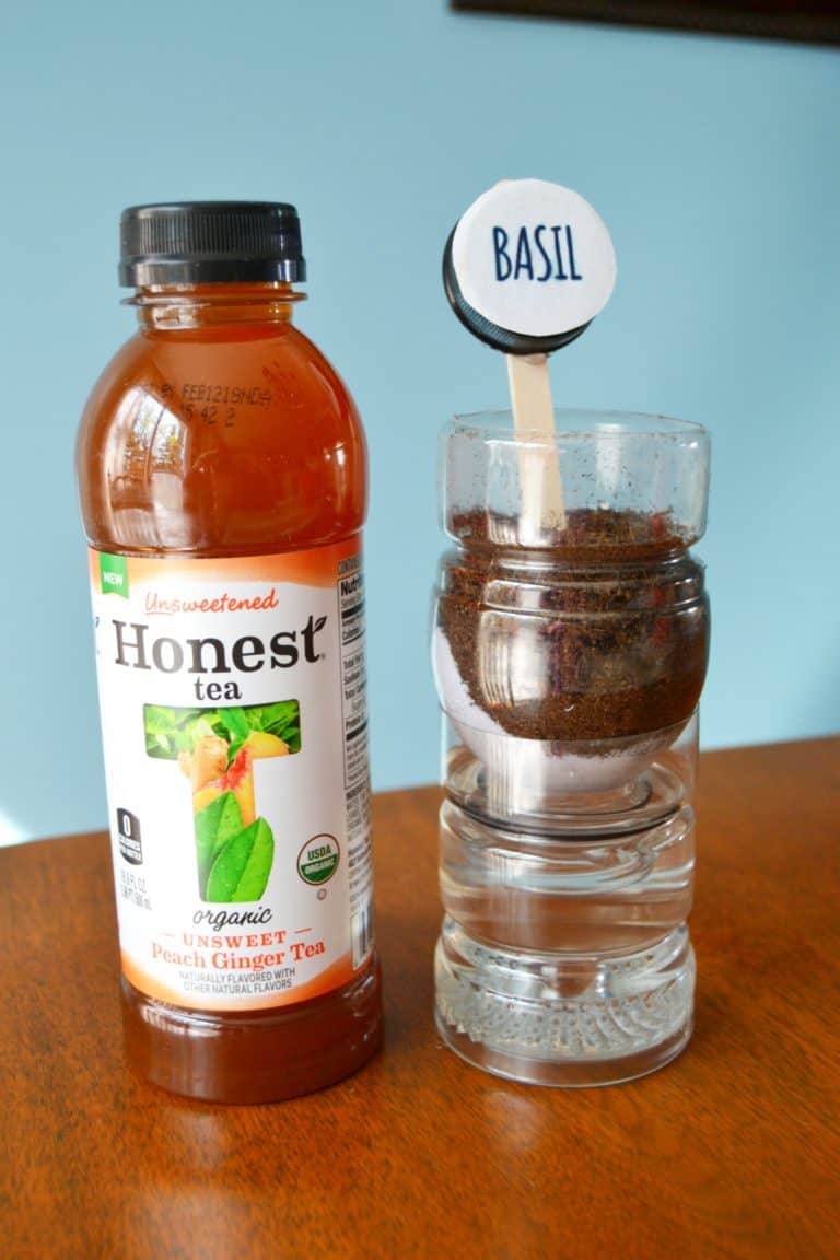 DIY Seed Starters from Bottles