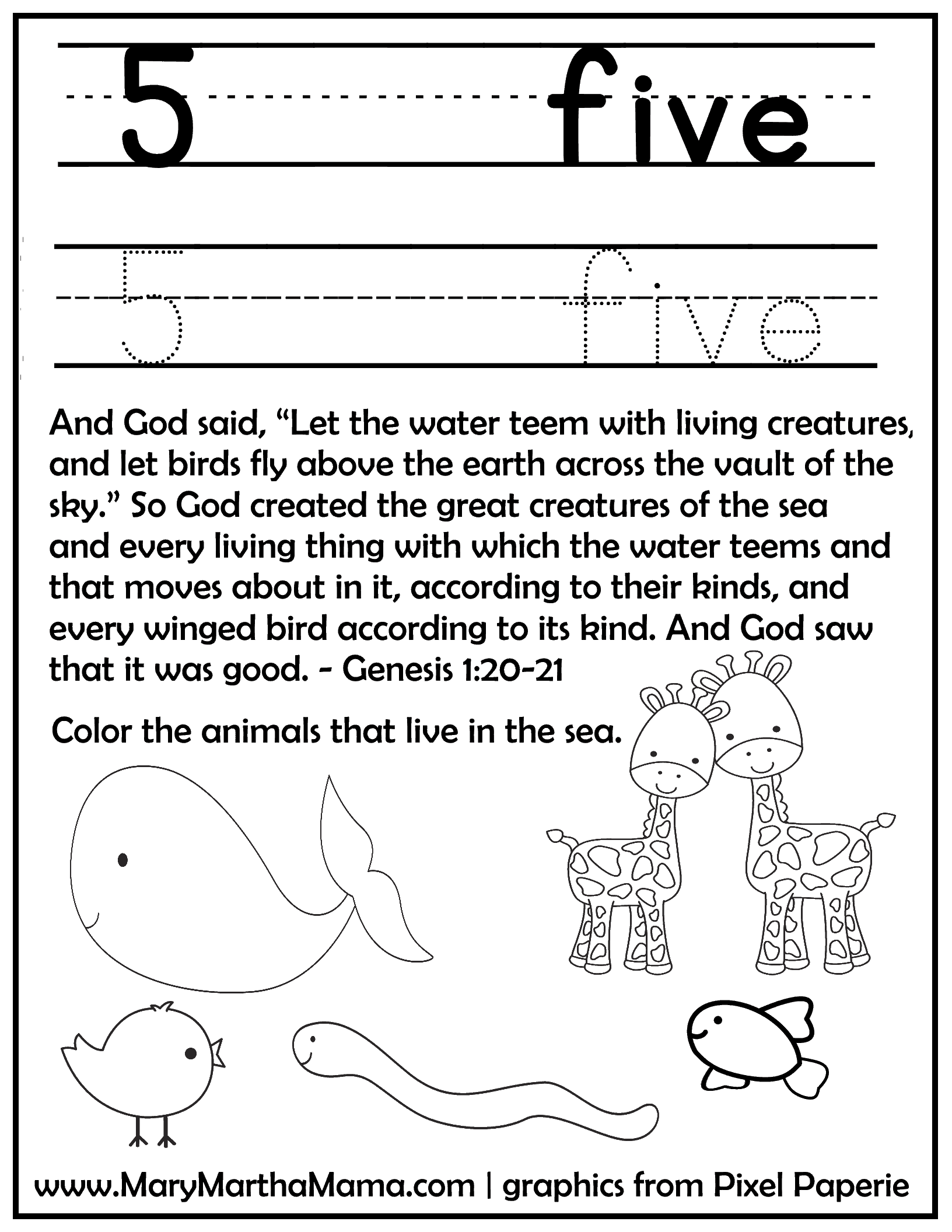 creation day 5 activity page