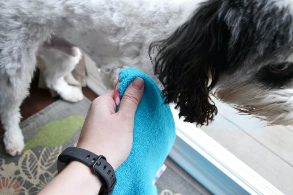 How to Deal with Muddy Paws Mary Martha Mama