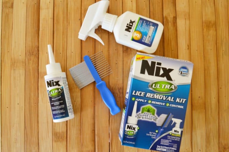 How to Get Rid of Lice Mary Martha Mama