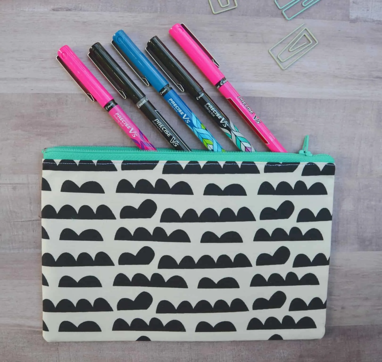 pens in pouch