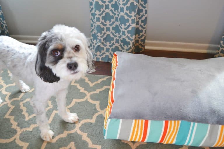 How to Sew a Dog Bed Mary Martha Mama