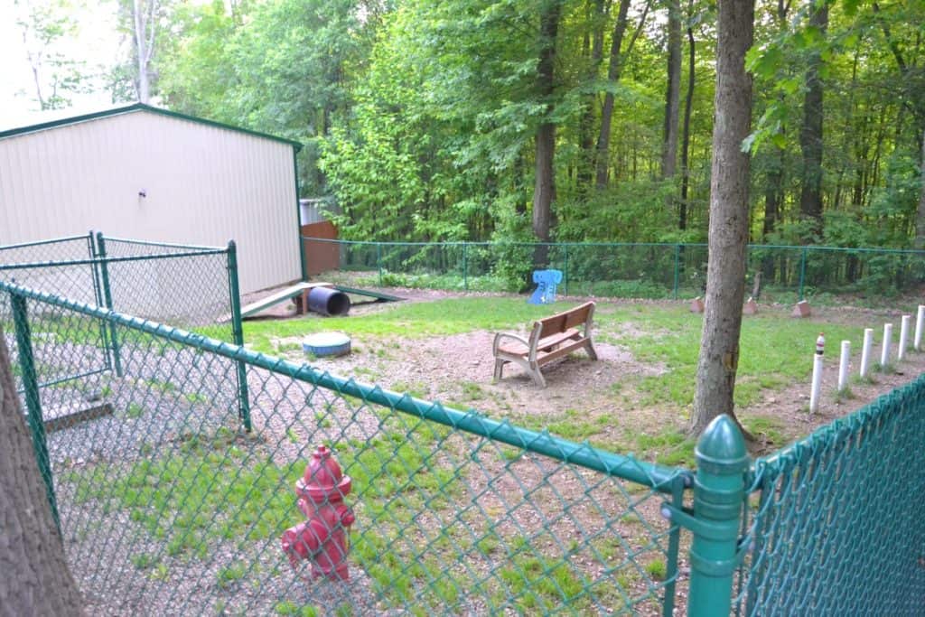 10 Reasons to Love Yogi Bear's Jellystone Park at Kozy Rest Mary