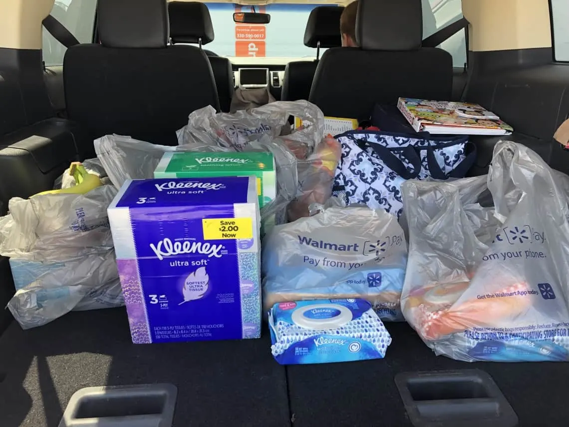 the groceries in the back of the car
