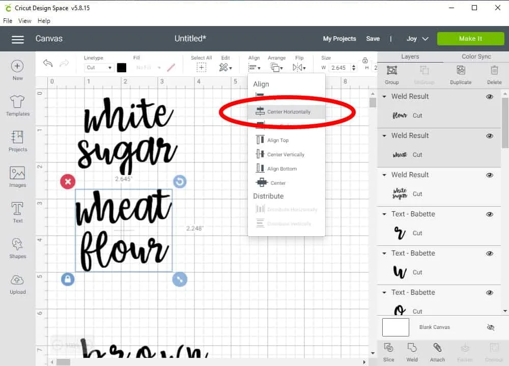 Design Space Screen Shot showing how to align two words