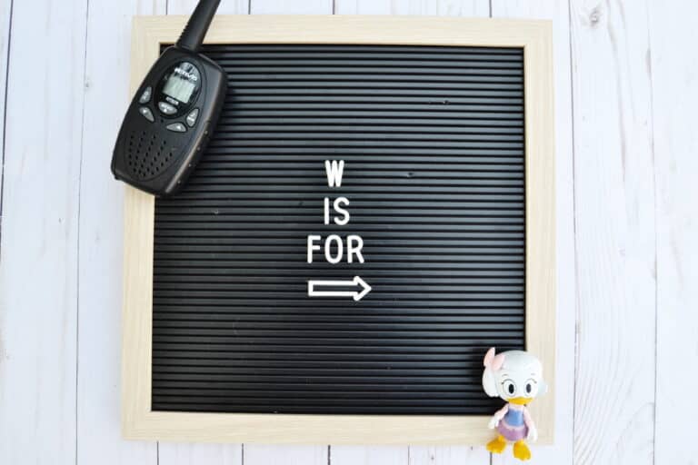 Toys that Start with W [45 Ideas]