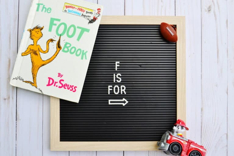 Toys that Start with F [45 Ideas]