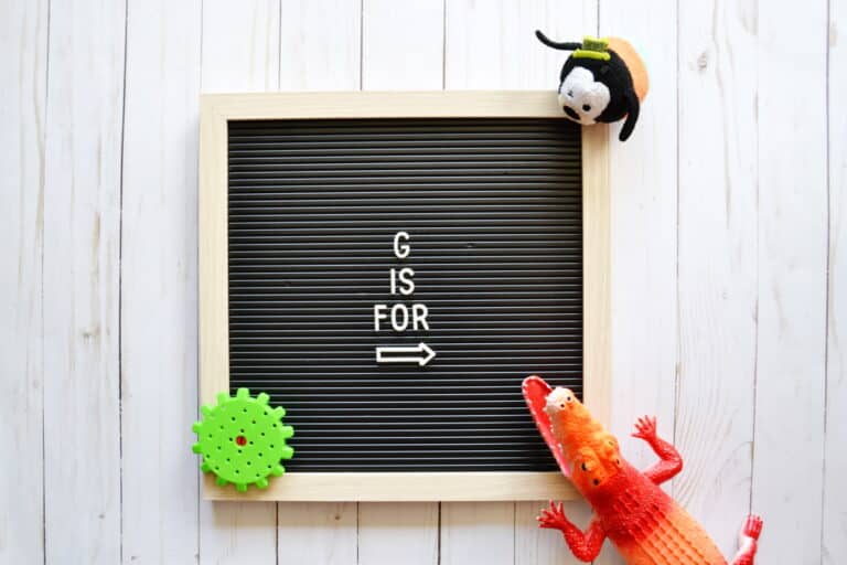 Toys that Start with G [36 Ideas]