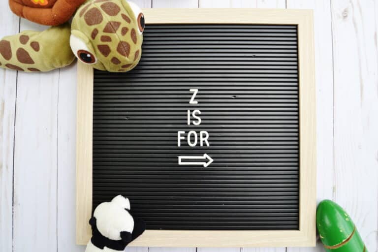 Toys that Start with Z [28 Ideas]