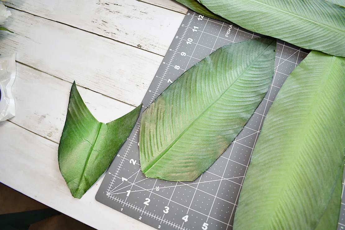 cutting the leaves