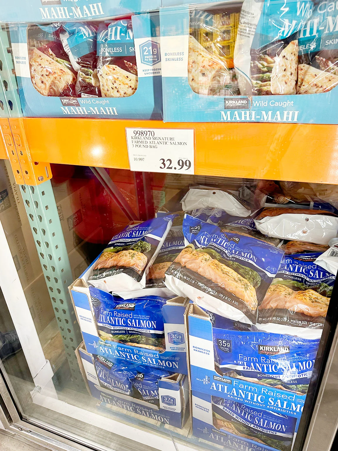 salmon