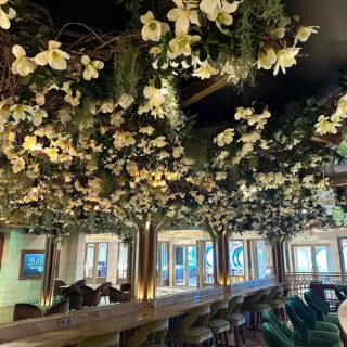 Disney Wish Bayou ceiling