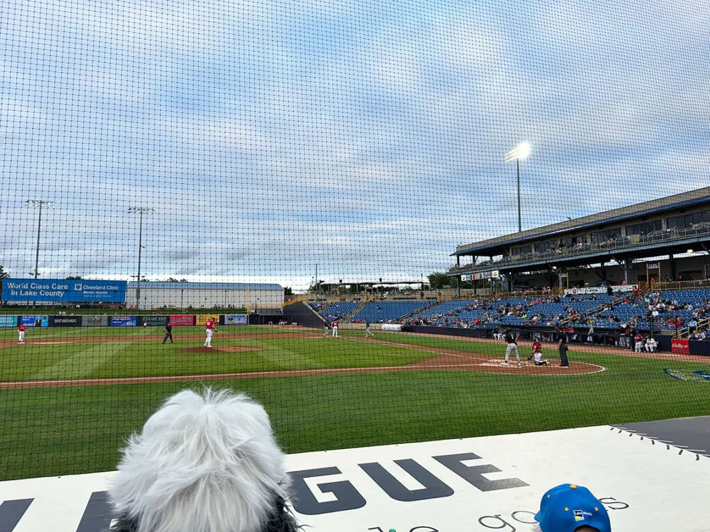 minor league baseball game