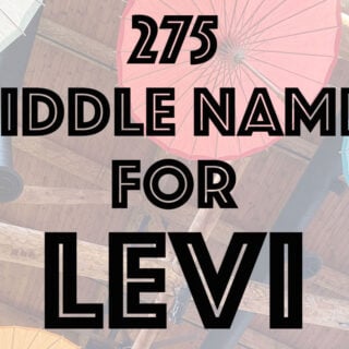 middle names for Levi