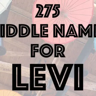 middle names for Levi